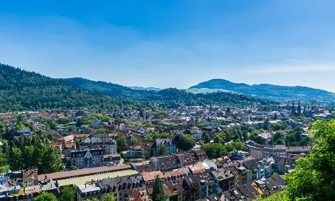 Curățarea gastronomiei Freiburg im Breisgau